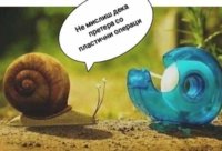FB_IMG_1673615820845.jpg