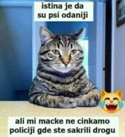 FB_IMG_1674219525314.jpg