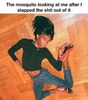 FB_IMG_1674605004447.jpg