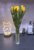 IMG_2196.jpeg