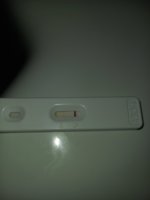 20230126_234616.jpg