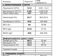 C1633C69-9454-4FFC-BDF9-A19808FEEB18.jpeg