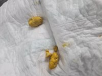 20230210_060939.jpg