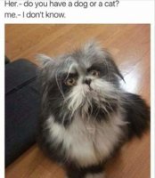 FB_IMG_1675901385252.jpg