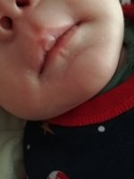 IMG_20230212_162815.jpg