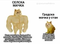 413.jpg