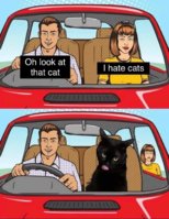 FB_IMG_1676437699658.jpg