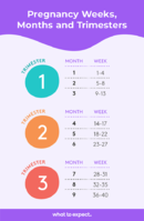 pregnancy-weeks-months-trimester-chart-alt-2022.png