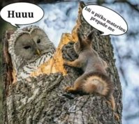 FB_IMG_1676210303895.jpg