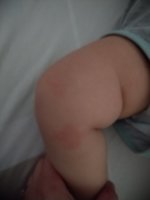 IMG_20230306_081005.jpg