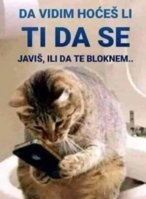 FB_IMG_1678002930245.jpg