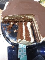 IMG_20230307_204656.jpg