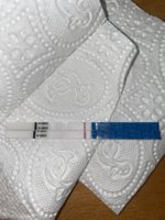 BE728B15-D704-4126-ADBF-9A3D1175EAE6.jpeg