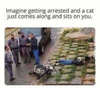 FB_IMG_1678344249657.jpg