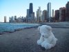 Lonely_Bear_16_by_kilroyart.jpg