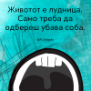 598619_562406150452358_1504898123_n.png