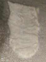 IMG_20230311_190003.jpg