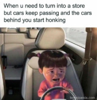 341.jpg