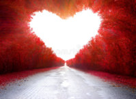 road-to-love-trees-shape-heart-58864200.jpg