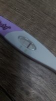 20230324_123008.jpg