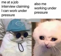 FB_IMG_1680130424119.jpg