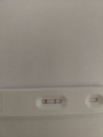 20230331_064759.jpg
