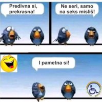 FB_IMG_1680711281189.jpg