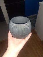 20230405_194645.jpg