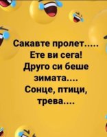 IMG_20230406_225704.jpg