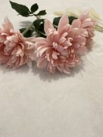 IMG_9174.jpeg