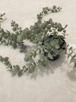 IMG_9180.jpeg