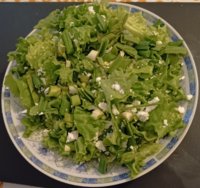 IMG_20230416_190118.jpg