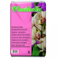 Florab-5lt-Orchids-1500x1500.jpg