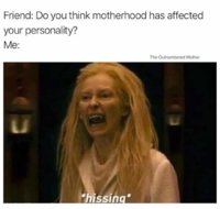 FB_IMG_1682248415459.jpg
