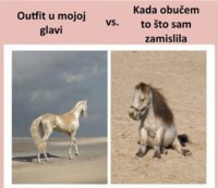 FB_IMG_1682354368658.jpg