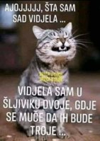 FB_IMG_1682600753990.jpg