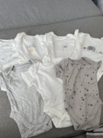 IMG_3971.jpeg