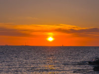 IMG_1636.jpeg