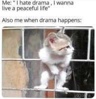 IMG_1708.jpeg