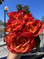 IMG_1785.jpeg