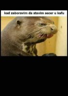 FB_IMG_1683366667687.jpg
