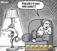 FB_IMG_1683464506389.jpg