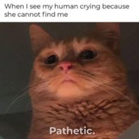 IMG_1975.jpeg