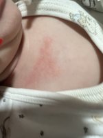 IMG_8187.jpeg