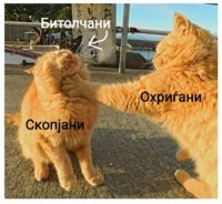 IMG_2175.jpeg