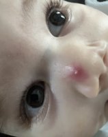 IMG_2430.jpeg