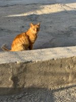 IMG_2256.jpeg