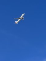 IMG_2285.jpeg