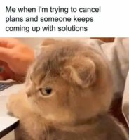 FB_IMG_1686003412226.jpg