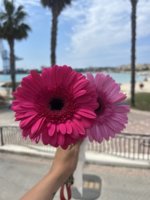 IMG_2410.jpeg